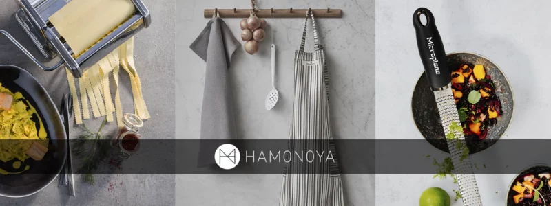 Financiering van Hamonoya