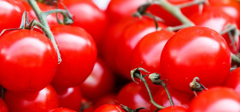 Acquisition of Care for Food Group by Normec