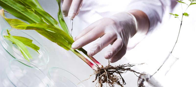 Sale of Galys laboratories to Eurofins