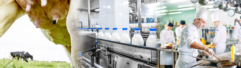 Sofiproteol invests into Kersia