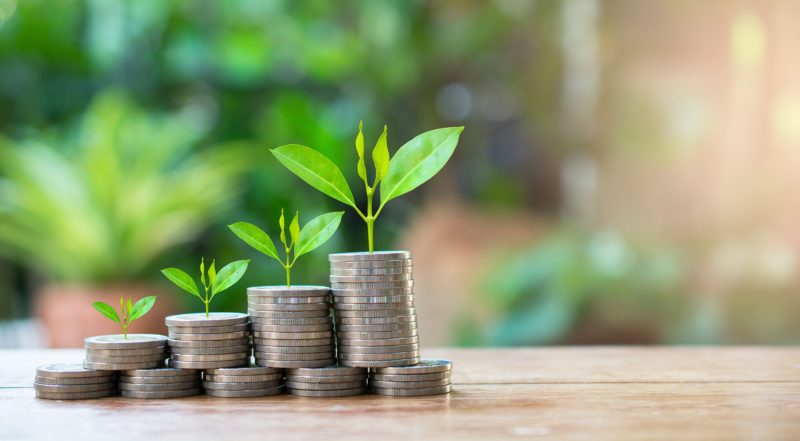 Investment of DELA in Salarise