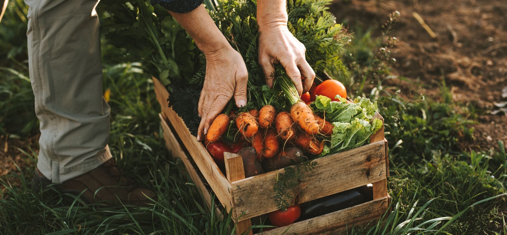 14th edition ”Food for Growth”