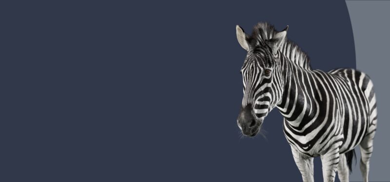 Funding of Gorjenska Banka by Serbian AIK Banka