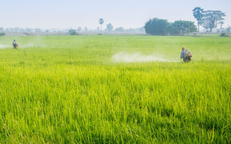 Overname van Shogun Organics door Safex Chemicals