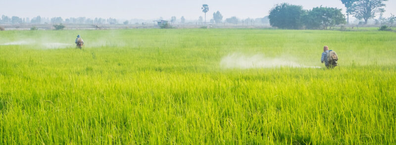 Akquisition von Shogun Organics durch Safex Chemicals