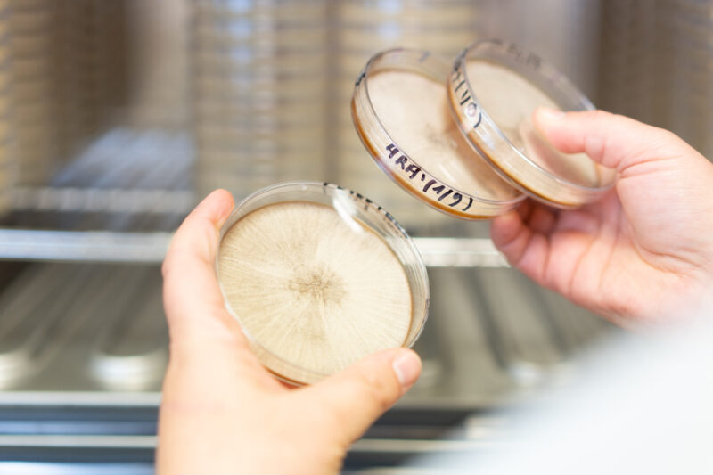 Sale of Solyve by Invivo