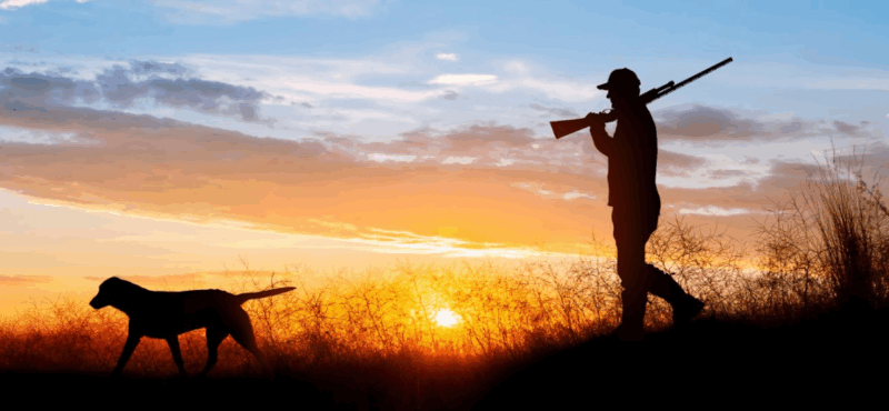 Sale of Sofisport to FN Browning Group